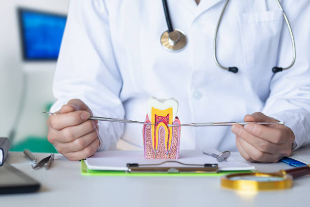 Best Emergency Tooth Extraction in Seven Fields, PA